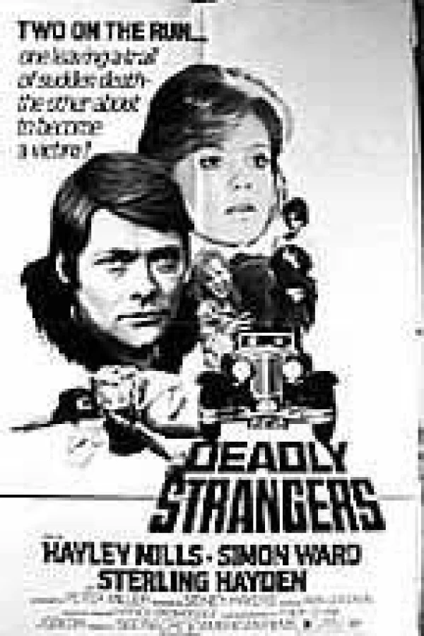 Deadly Strangers Affiche