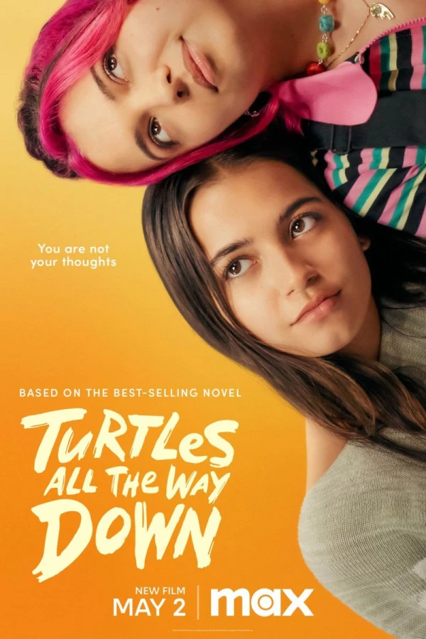 Turtles All the Way Down Affiche