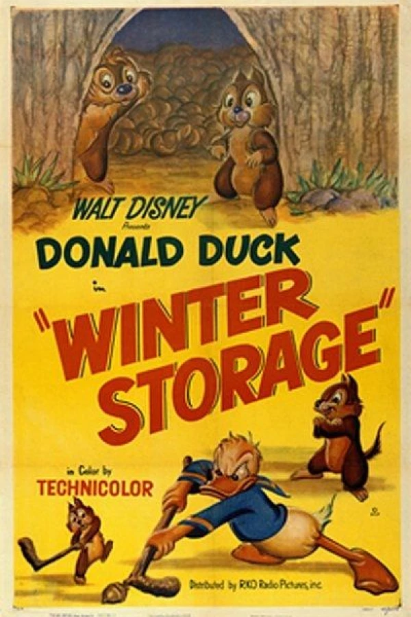 Winter Storage Affiche