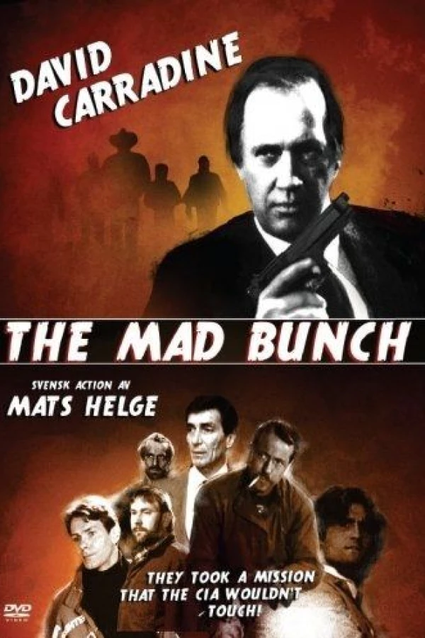 The Mad Bunch Affiche