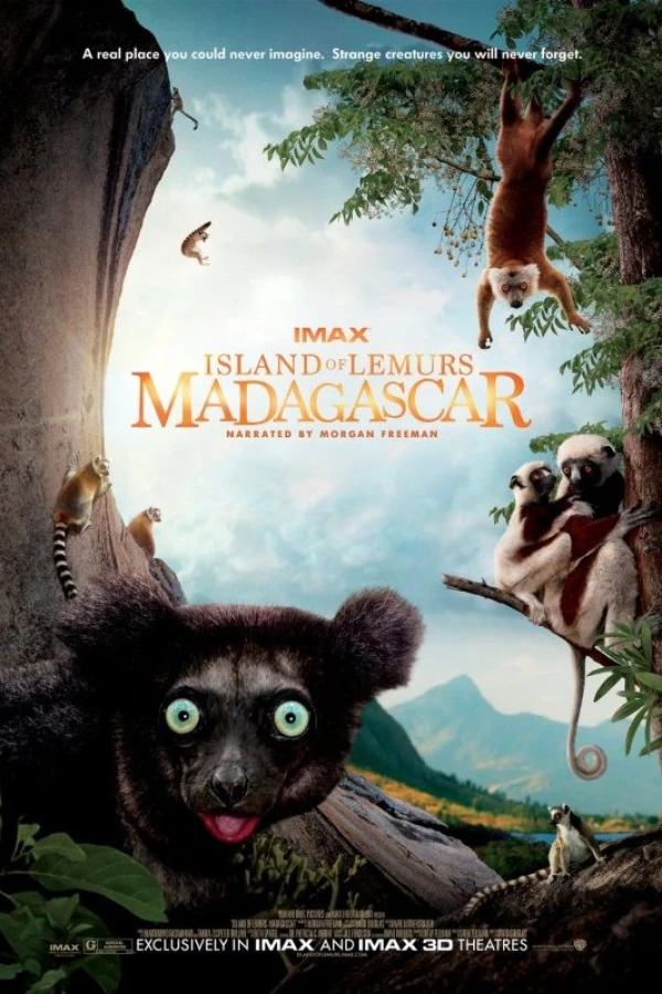 L'île des lémuriens : Madagascar Affiche
