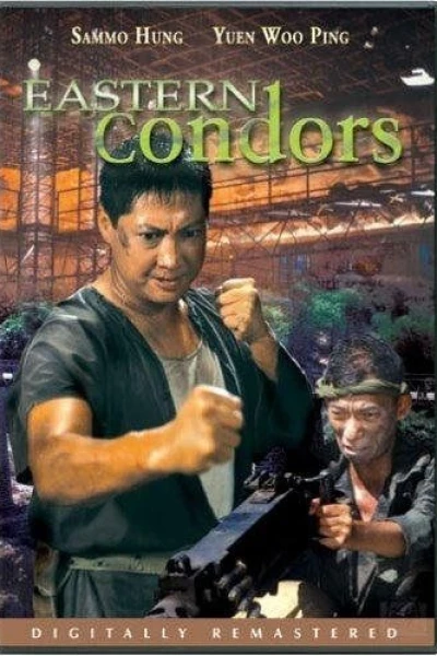 Condors Commando