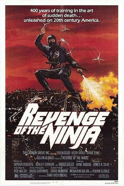 Ninja Ultime Violence