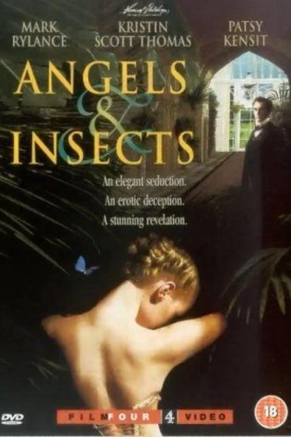 Angels and Insects Affiche