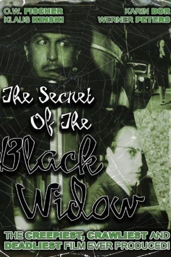 Le secret de la veuve noire Affiche