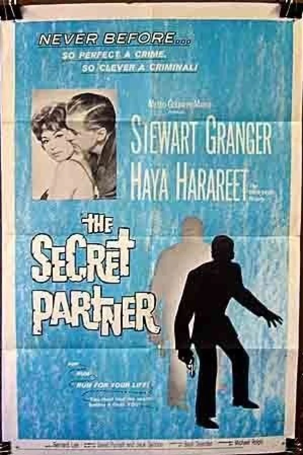The Secret Partner Affiche