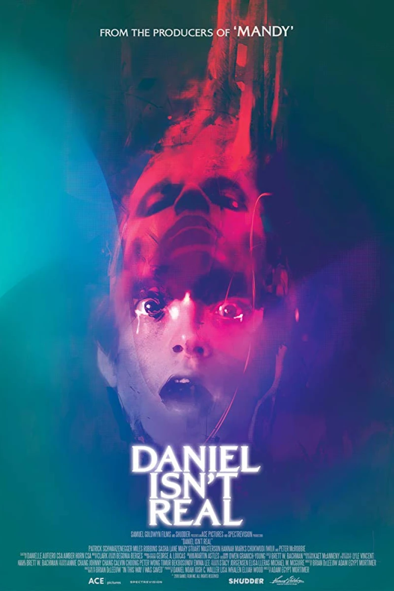 Daniel Isn't Real Affiche