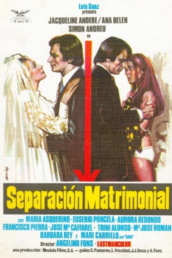 Separación matrimonial Affiche