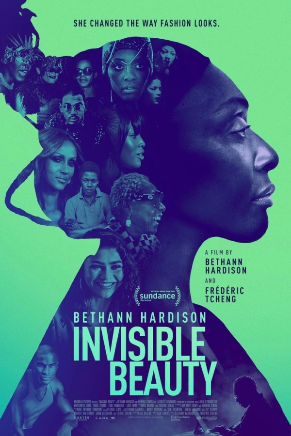 Invisible Beauty Affiche