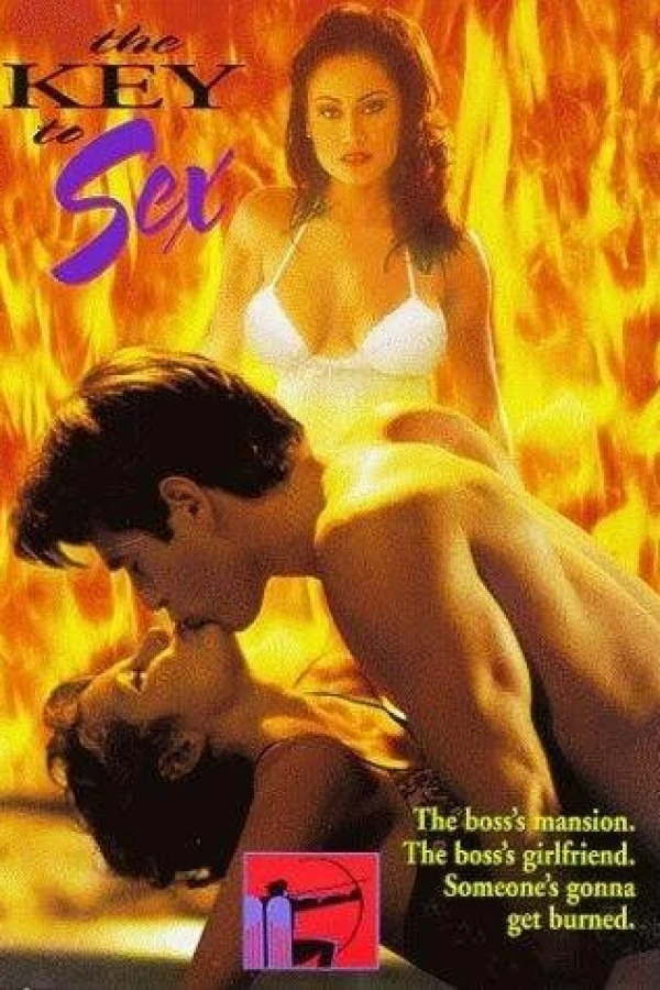 The Key to Sex Affiche