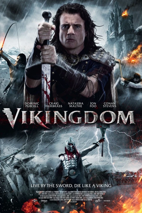 Vikingdom Affiche