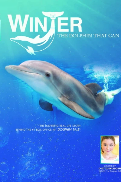 Winter, the Dolphin That Can